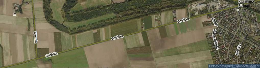 Zdjęcie satelitarne Golińska ul.